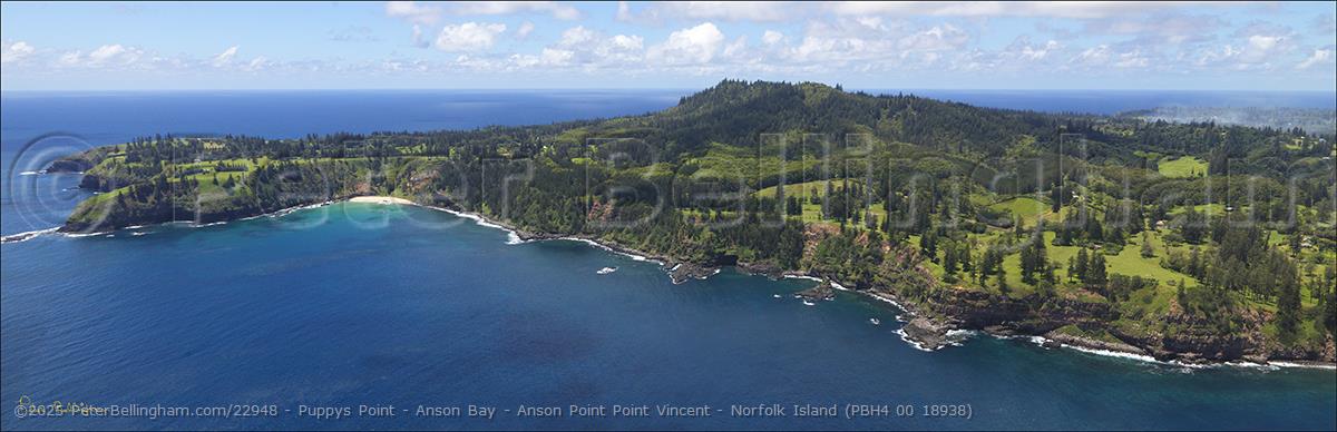 Peter Bellingham Photography Puppys Point - Anson Bay - Anson Point Point Vincent - Norfolk Island (PBH4 00 18938)